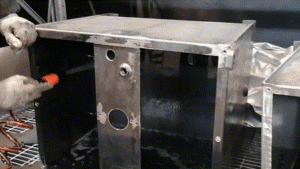 nettoyage reservoirs hydrauliques